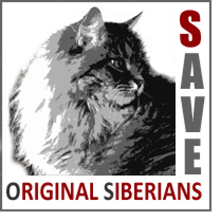 save original siberians